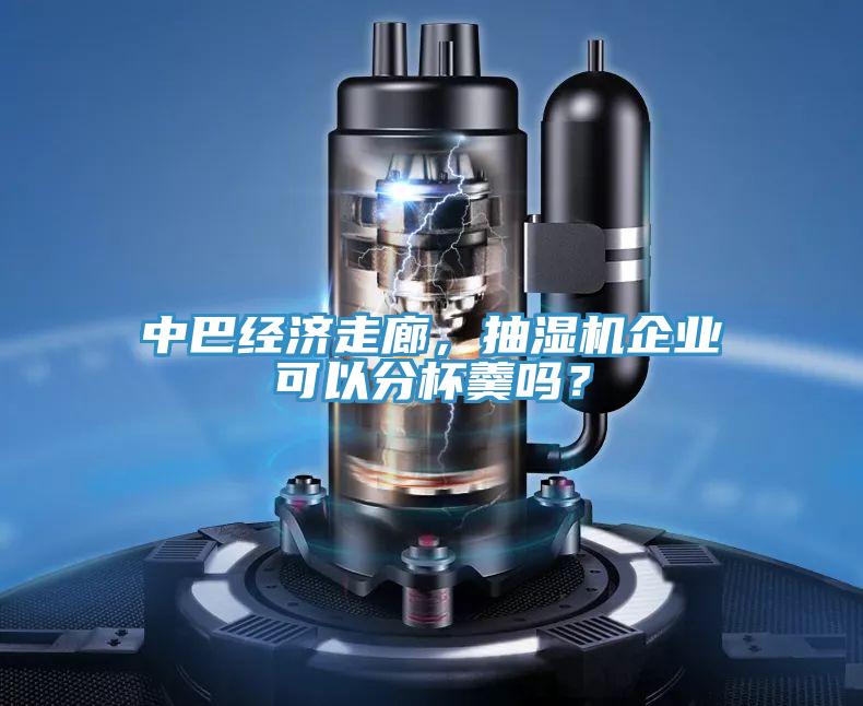 中巴經濟走廊，抽濕機企業可以分杯羹嗎？