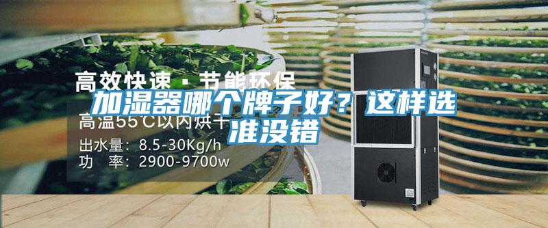 加濕器哪個牌子好？這樣選準沒錯