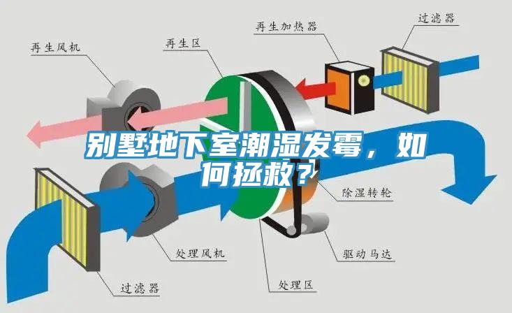 別墅地下室潮濕發黴，如何拯救？