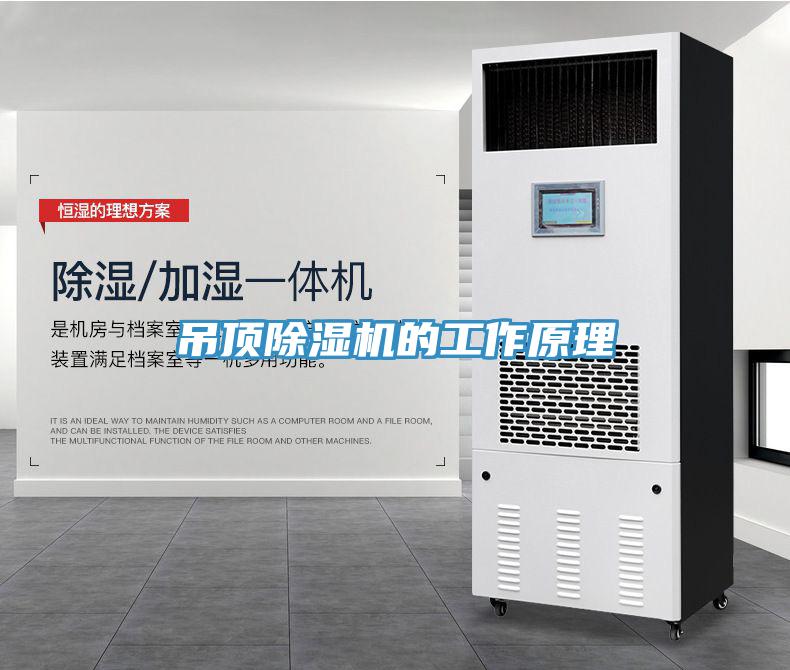 吊頂深夜福利视频网站的工作原理