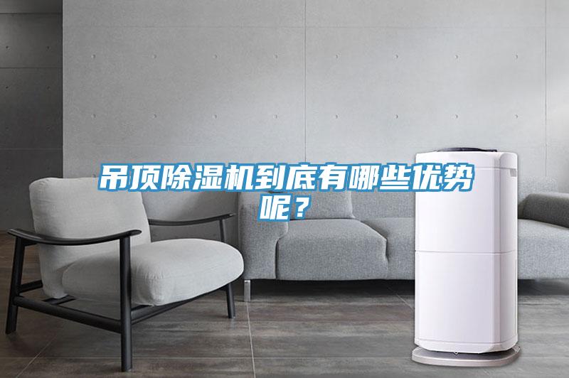 吊頂深夜福利视频网站到底有哪些優勢呢？