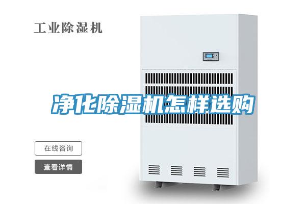 淨化深夜福利视频网站怎樣選購