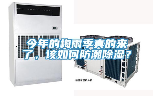 今年的梅雨季真的來了，該如何防潮除濕？