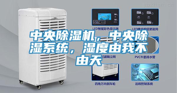 中央深夜福利视频网站，中央除濕係統，濕度由我不由天