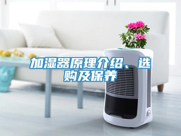 加濕器原理介紹、選購及保養