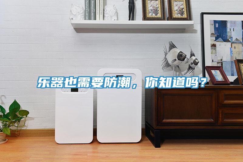樂器也需要防潮，你知道嗎？