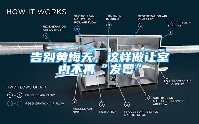 告別黃梅天，這樣做讓室內不再“發黴”