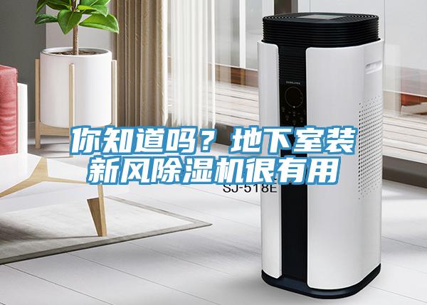 你知道嗎？地下室裝新風深夜福利视频网站很有用