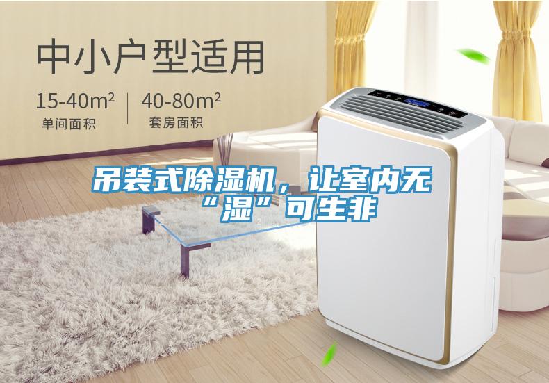 吊裝式深夜福利视频网站，讓室內無“濕”可生非