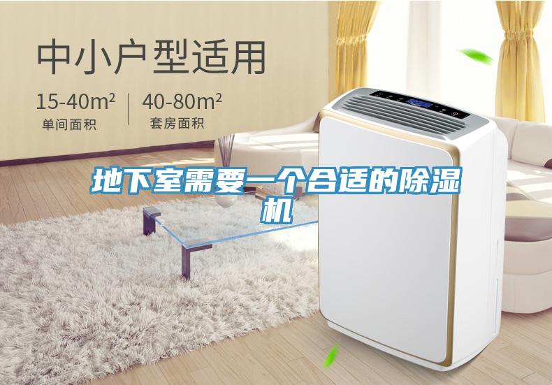 地下室需要一個合適的深夜福利视频网站
