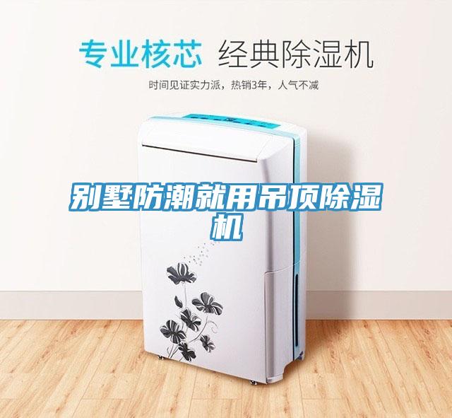 別墅防潮就用吊頂深夜福利视频网站