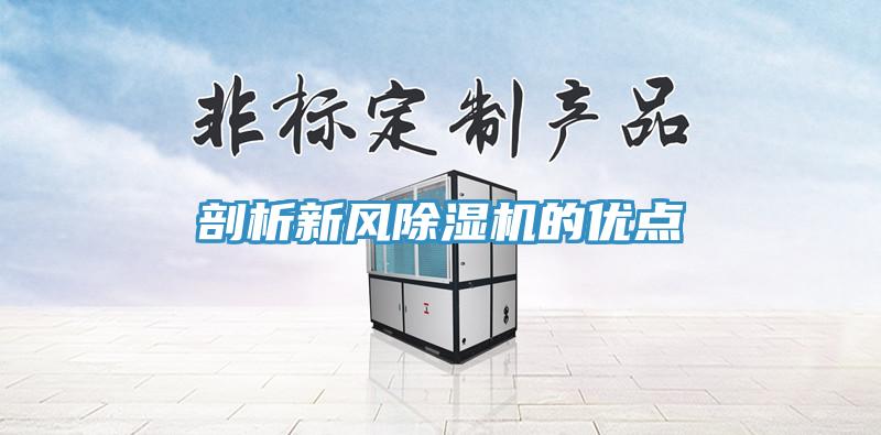 剖析新風深夜福利视频网站的優點