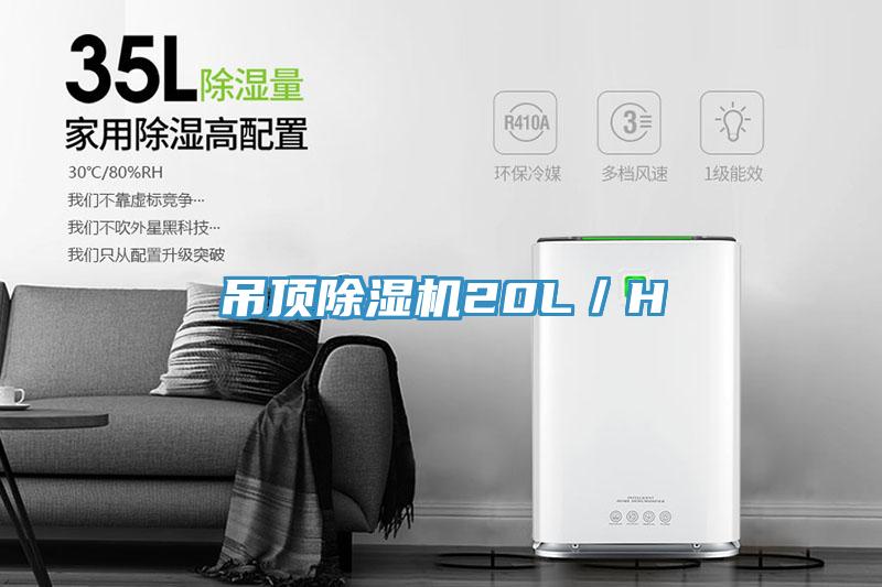 吊頂深夜福利视频网站20L／H