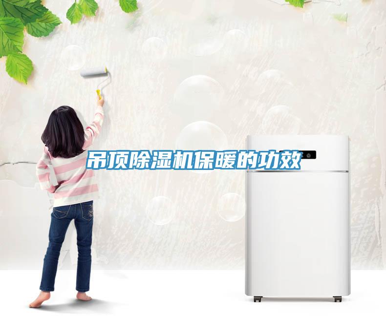 吊頂深夜福利视频网站保暖的功效