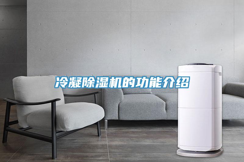 冷凝深夜福利视频网站的功能介紹