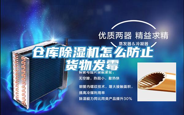倉庫深夜福利视频网站怎麽防止貨物發黴