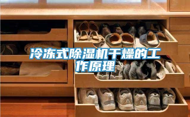 冷凍式深夜福利视频网站幹燥的工作原理