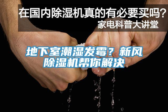 地下室潮濕發黴？新風深夜福利视频网站幫你解決