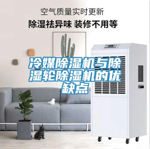 冷媒深夜福利视频网站與除濕輪深夜福利视频网站的優缺點