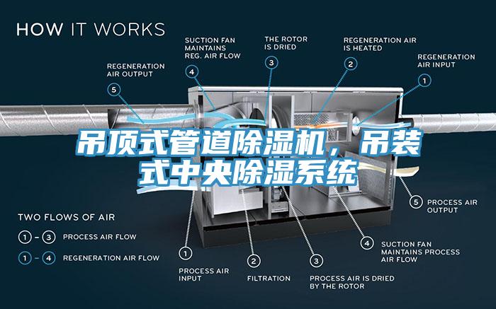 吊頂式管道深夜福利视频网站，吊裝式中央除濕係統