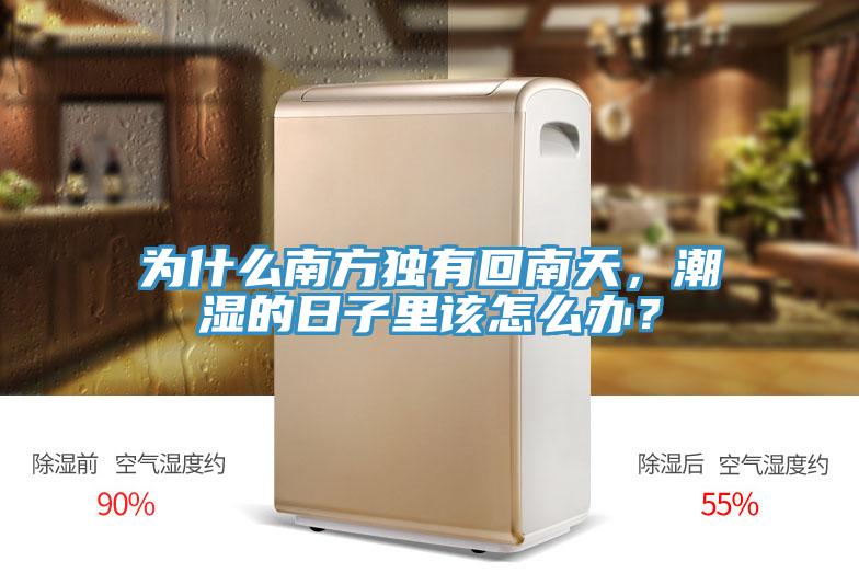 為什麽南方獨有回南天，潮濕的日子裏該怎麽辦？