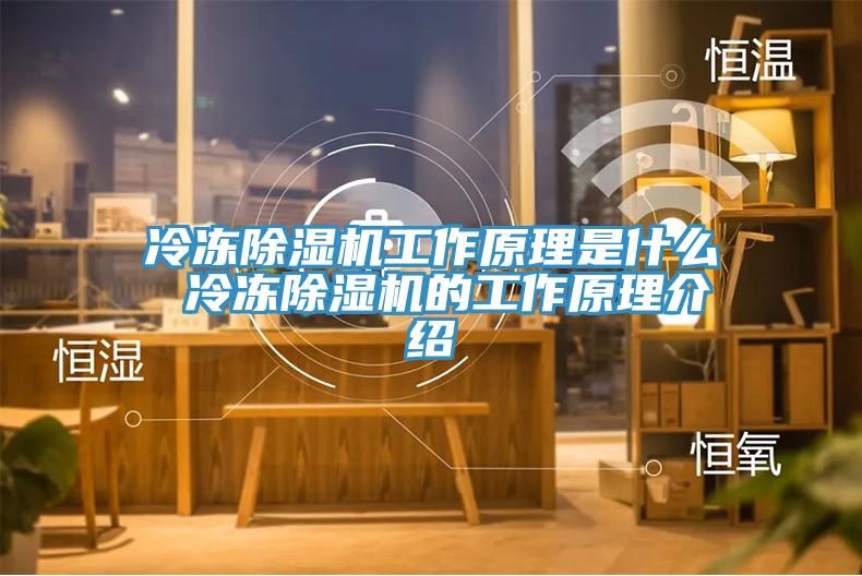 冷凍深夜福利视频网站工作原理是什麽 冷凍深夜福利视频网站的工作原理介紹