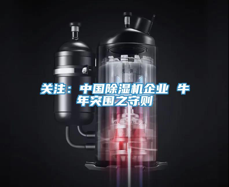 關注：中國深夜福利视频网站企業 牛年突圍之守則