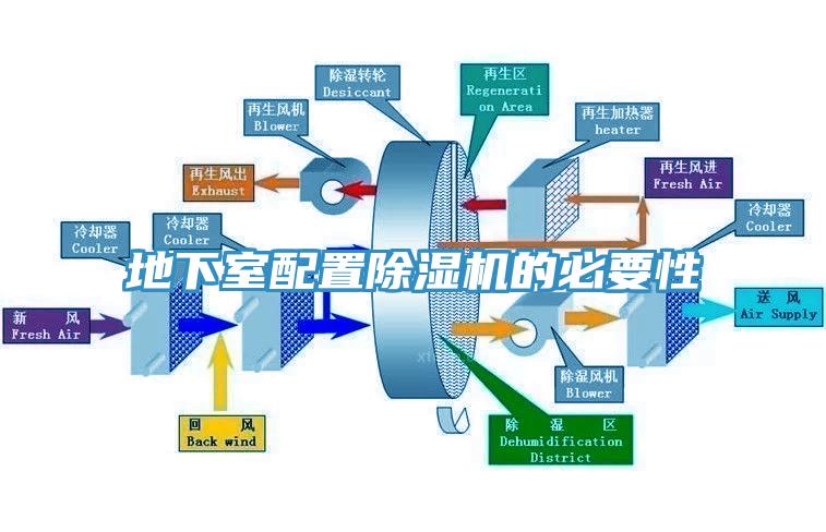 地下室配置深夜福利视频网站的必要性