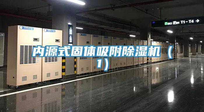 內源式固體吸附深夜福利视频网站（1）