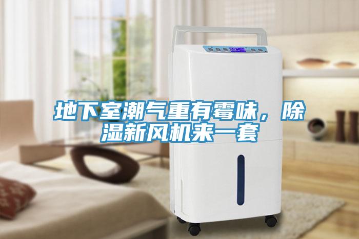 地下室潮氣重有黴味，除濕新風機來一套