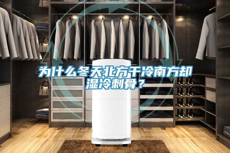 為什麽冬天北方幹冷南方卻濕冷刺骨？