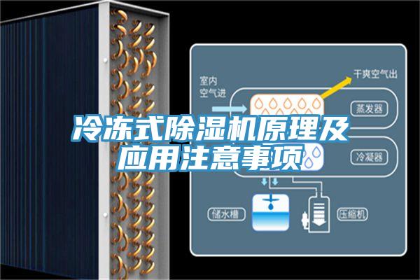冷凍式深夜福利视频网站原理及應用注意事項