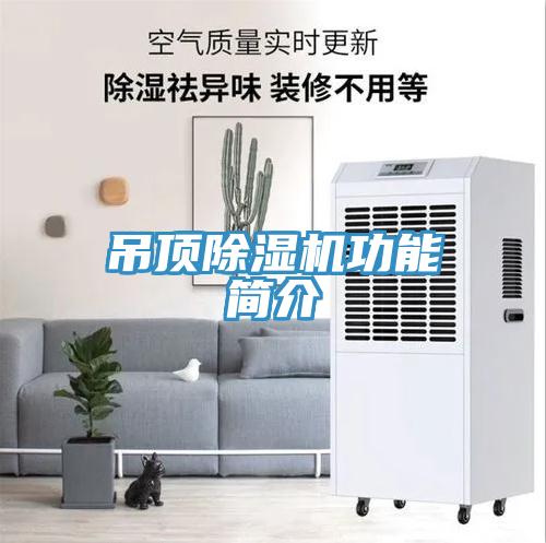 吊頂深夜福利视频网站功能簡介