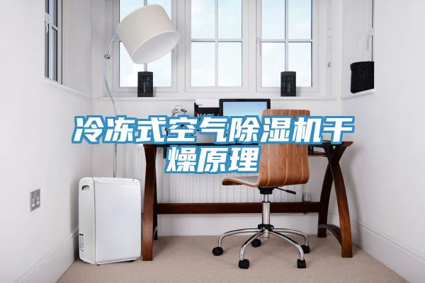 冷凍式空氣深夜福利视频网站幹燥原理