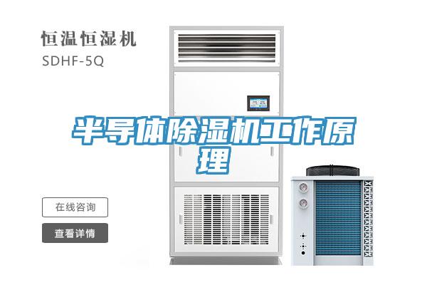 半導體深夜福利视频网站工作原理