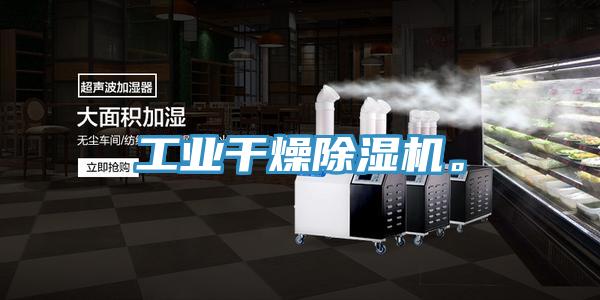 工業幹燥深夜福利视频网站。