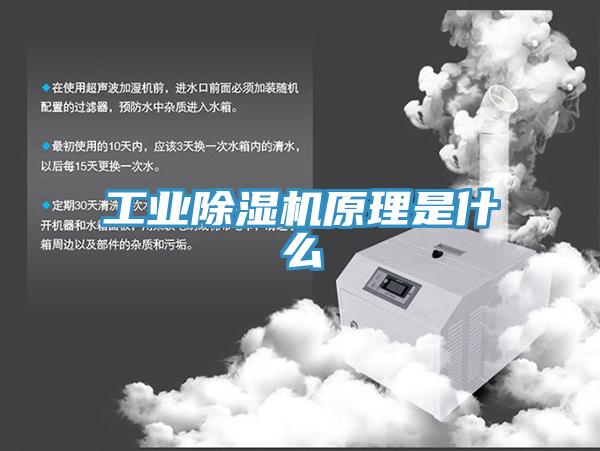 工業深夜福利视频网站原理是什麽