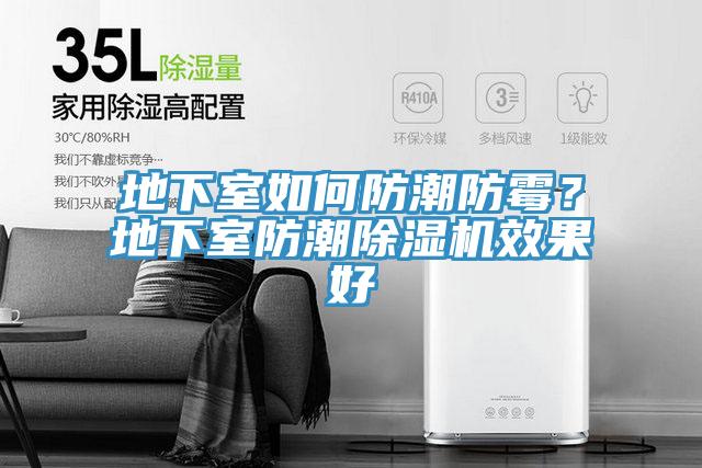 地下室如何防潮防黴？地下室防潮深夜福利视频网站效果好