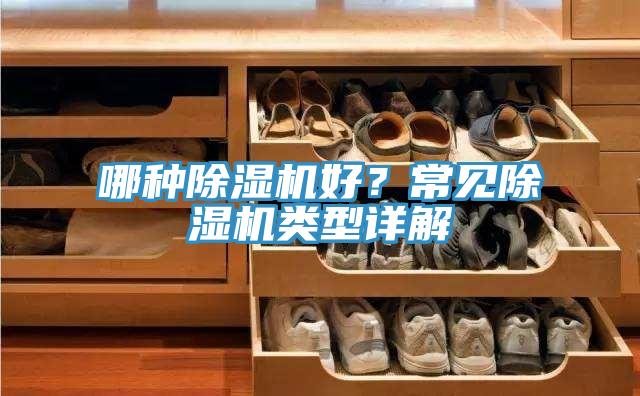 哪種深夜福利视频网站好？常見深夜福利视频网站類型詳解