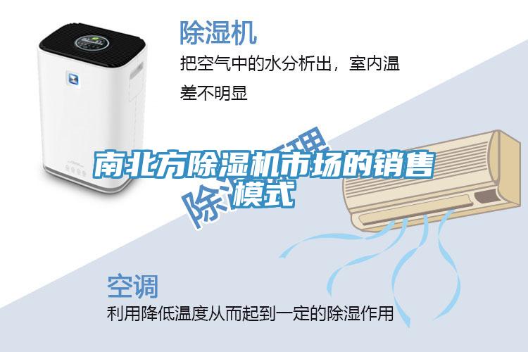 南北方深夜福利视频网站市場的銷售模式