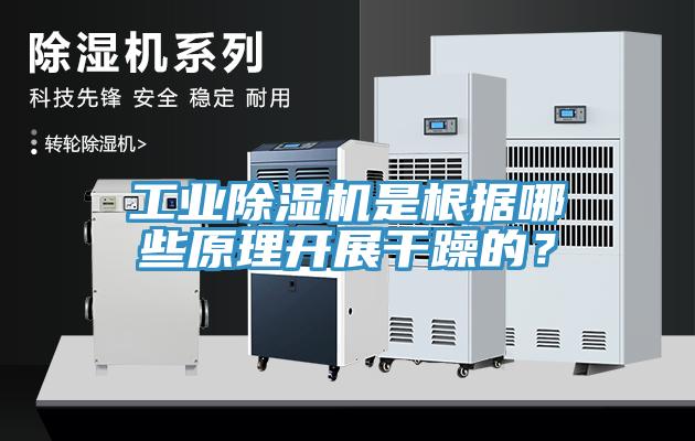 工業深夜福利视频网站是根據哪些原理開展幹躁的？