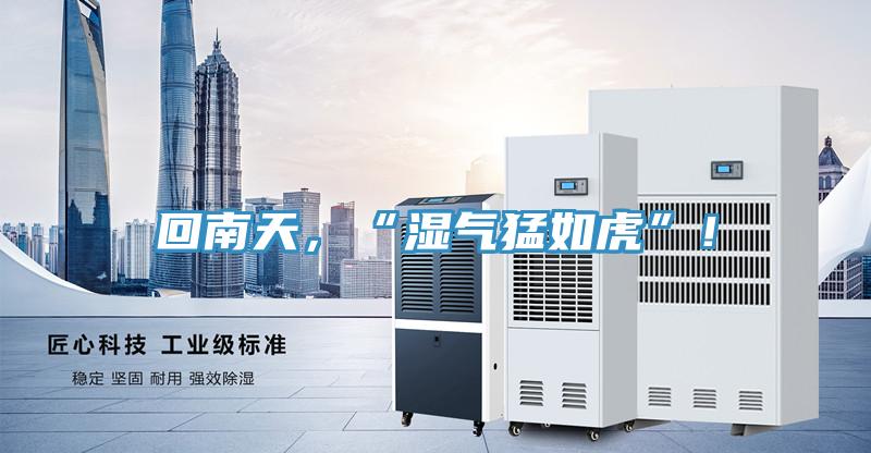 回南天，“濕氣猛如虎”！
