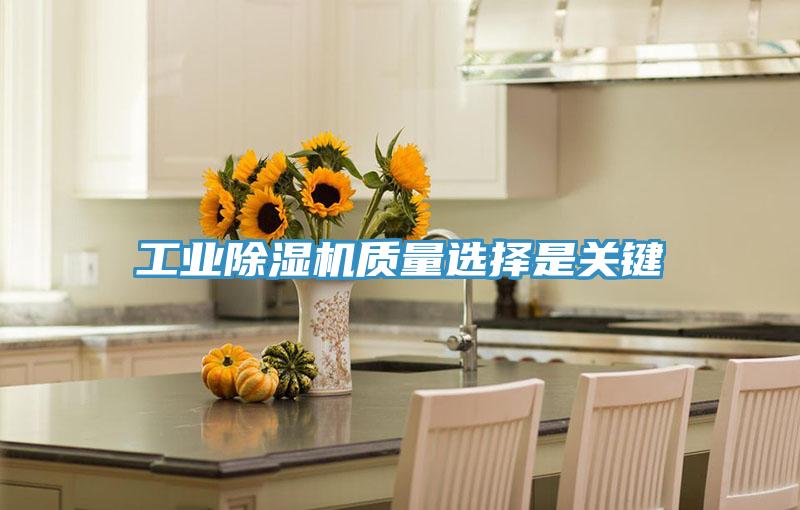 工業深夜福利视频网站質量選擇是關鍵