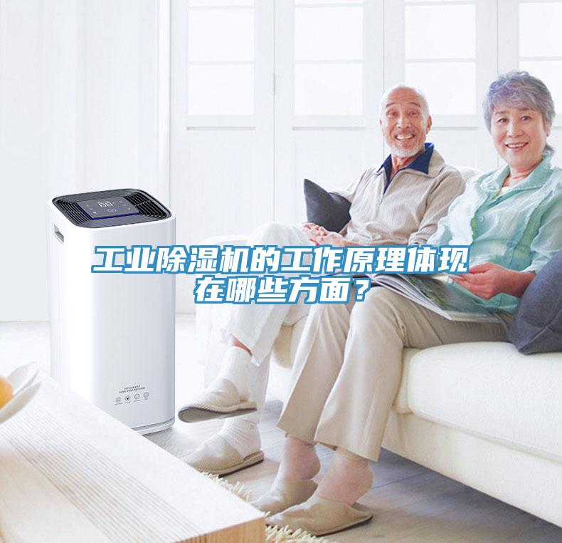 工業深夜福利视频网站的工作原理體現在哪些方麵？