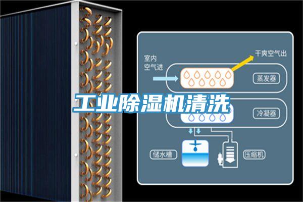 工業深夜福利视频网站清洗