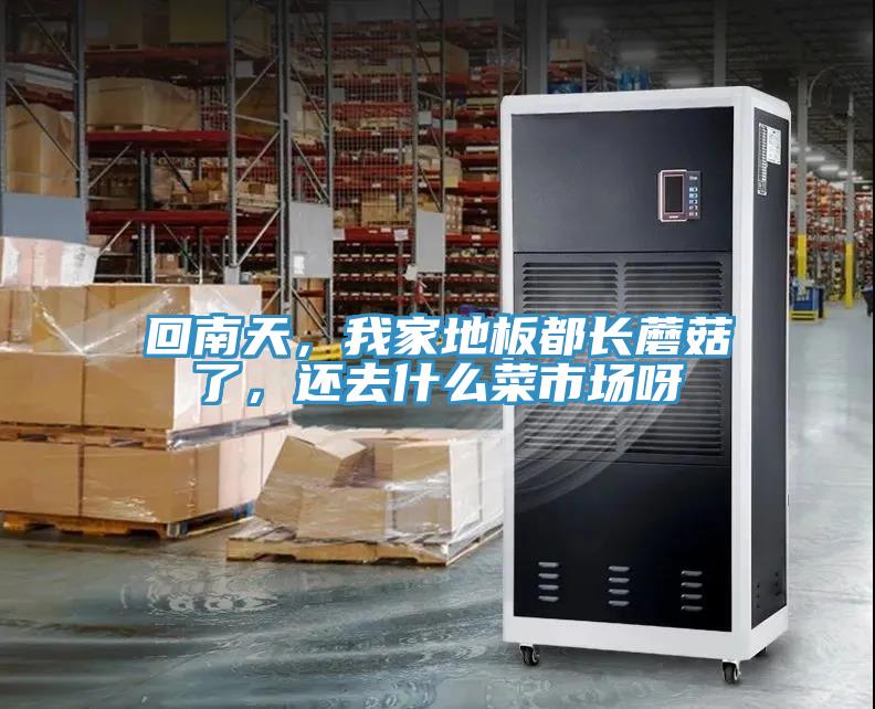 回南天，我家地板都長蘑菇了，還去什麽菜市場呀