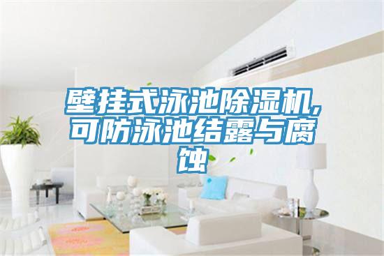 壁掛式泳池深夜福利视频网站,可防泳池結露與腐蝕