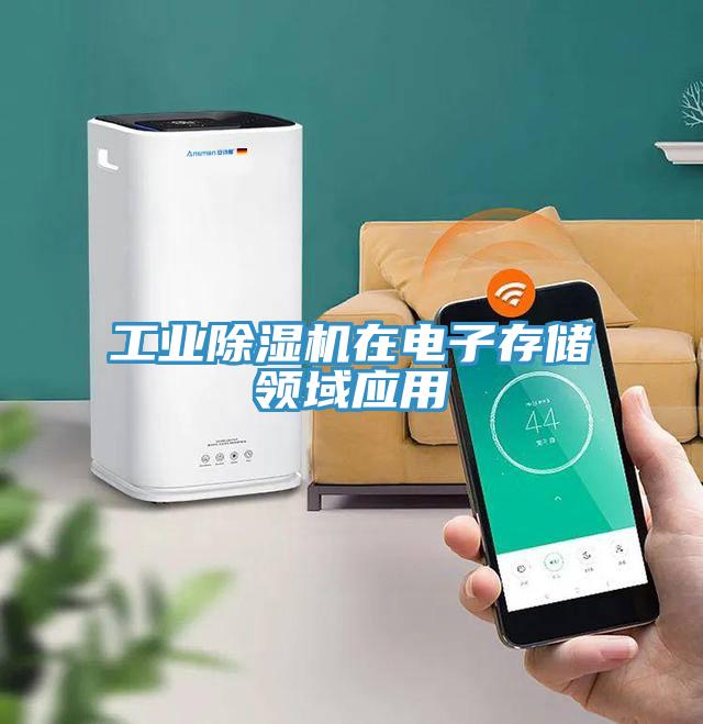 工業深夜福利视频网站在電子存儲領域應用