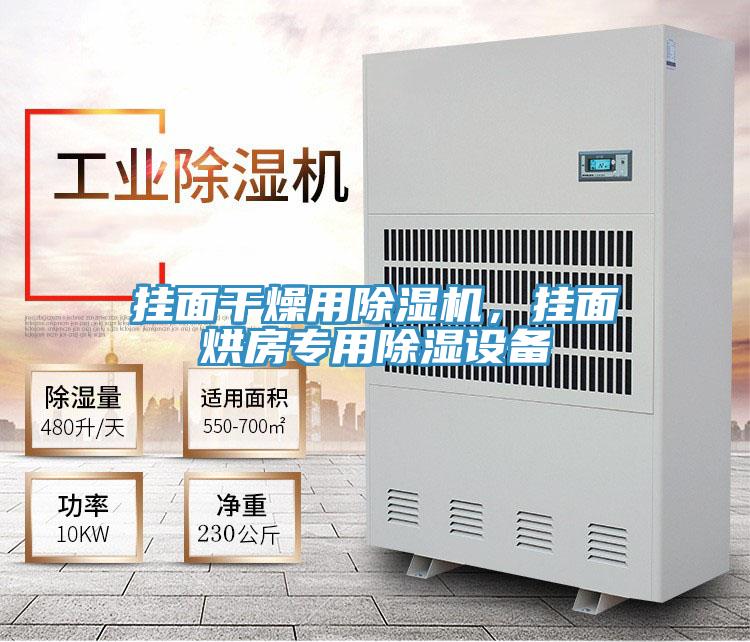 掛麵幹燥用深夜福利视频网站，掛麵烘房專用除濕設備