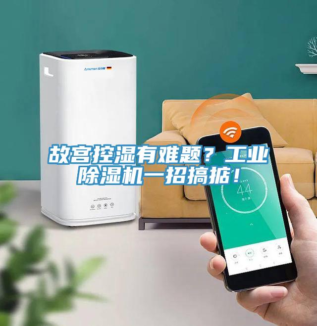 故宮控濕有難題？工業深夜福利视频网站一招搞掂！